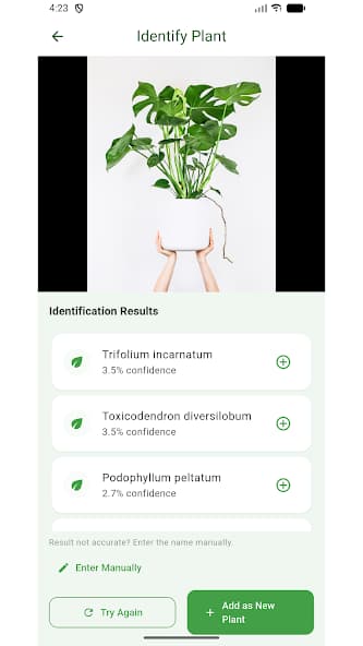 Plant Identification